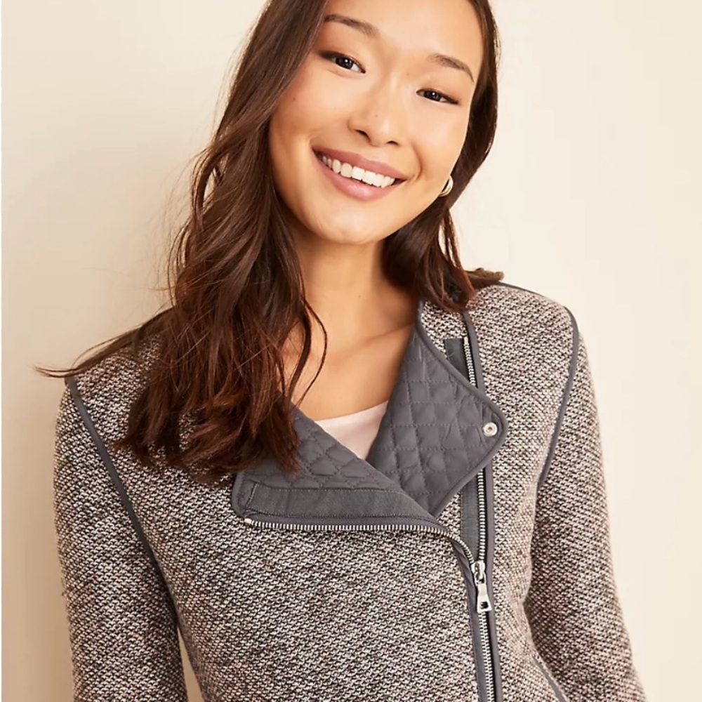 NWT Ann Taylor Quilted Tweed Moto Jacket